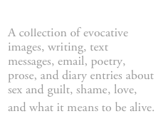 Dirt 
A collection of evocative images, writing, text messages, email, poetry, prose, and diary entries about sex and guilt, shame, love, and what it means to be alive.  